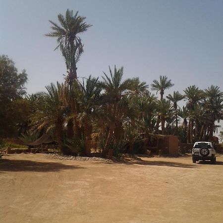 Kasbah Les Alizes Du Desert M'Hamid Exteriör bild