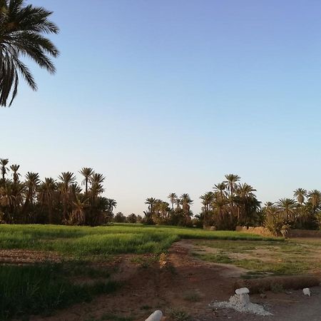 Kasbah Les Alizes Du Desert M'Hamid Exteriör bild