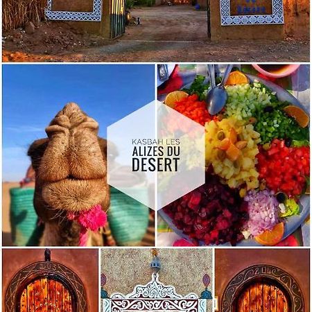 Kasbah Les Alizes Du Desert M'Hamid Exteriör bild