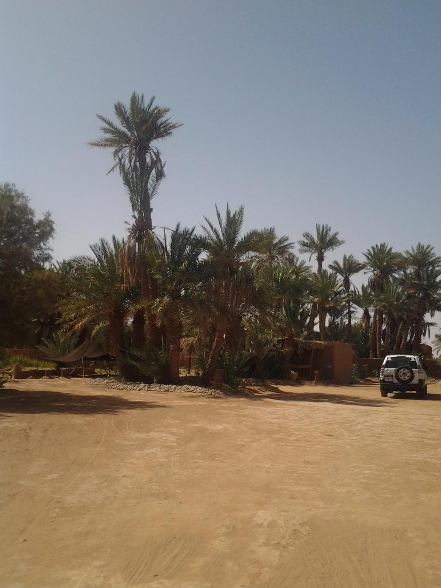 Kasbah Les Alizes Du Desert M'Hamid Exteriör bild