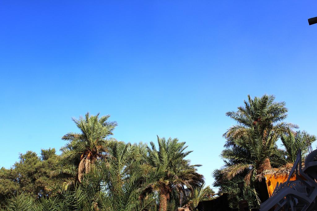 Kasbah Les Alizes Du Desert M'Hamid Exteriör bild