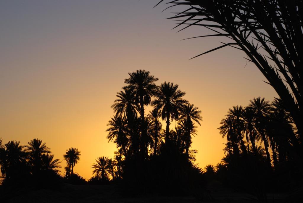 Kasbah Les Alizes Du Desert M'Hamid Exteriör bild