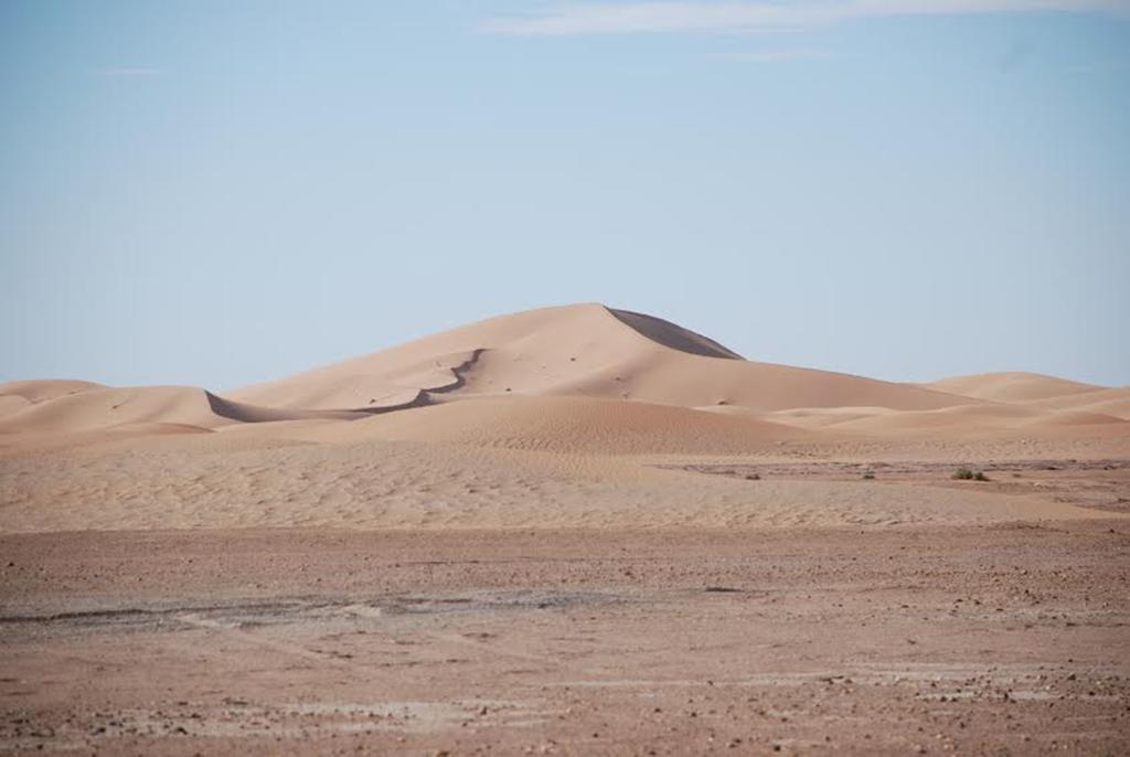 Kasbah Les Alizes Du Desert M'Hamid Exteriör bild