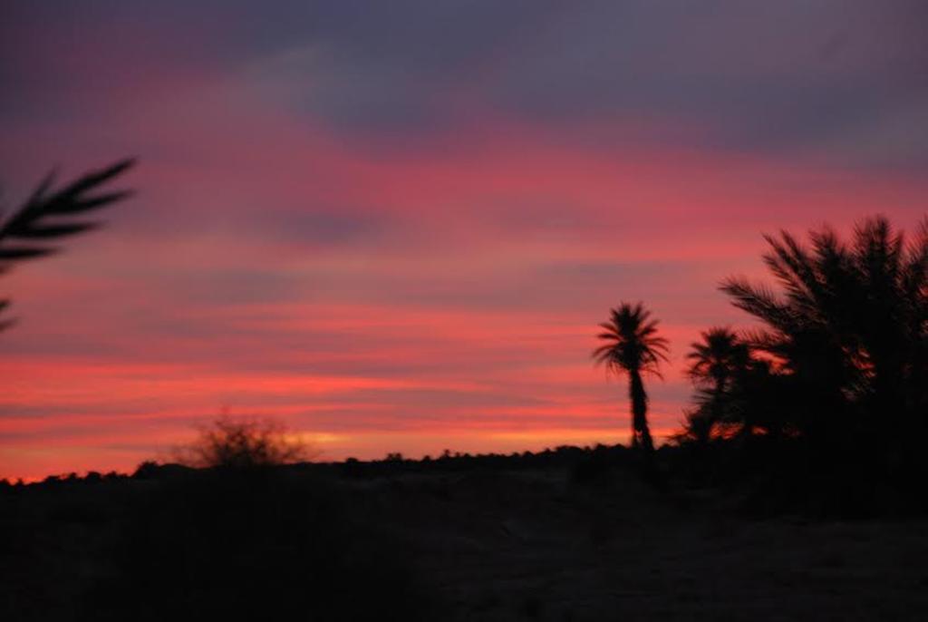 Kasbah Les Alizes Du Desert M'Hamid Exteriör bild