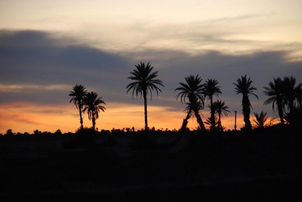 Kasbah Les Alizes Du Desert M'Hamid Exteriör bild