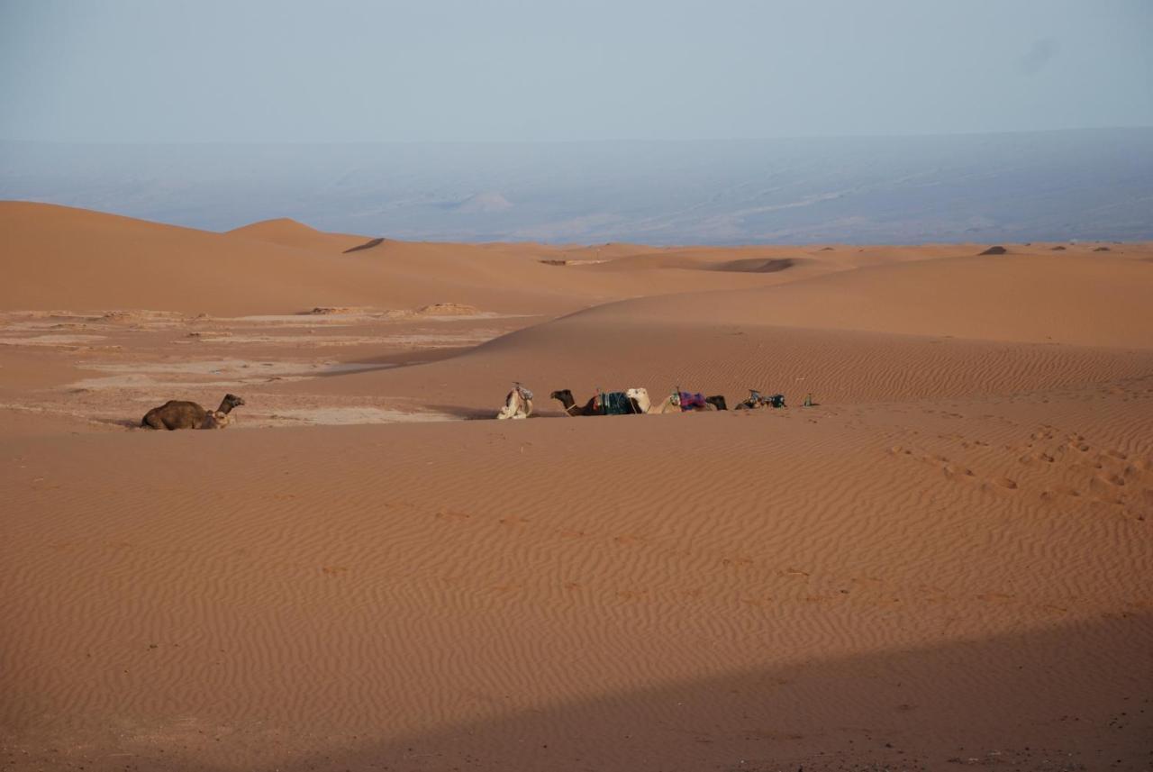 Kasbah Les Alizes Du Desert M'Hamid Exteriör bild