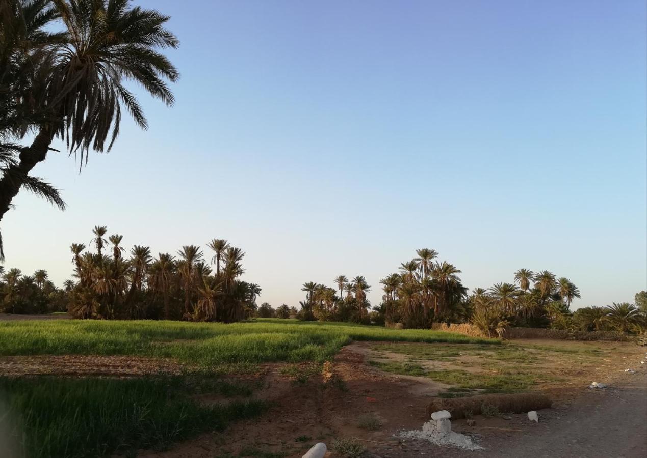 Kasbah Les Alizes Du Desert M'Hamid Exteriör bild