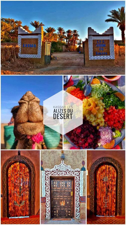 Kasbah Les Alizes Du Desert M'Hamid Exteriör bild