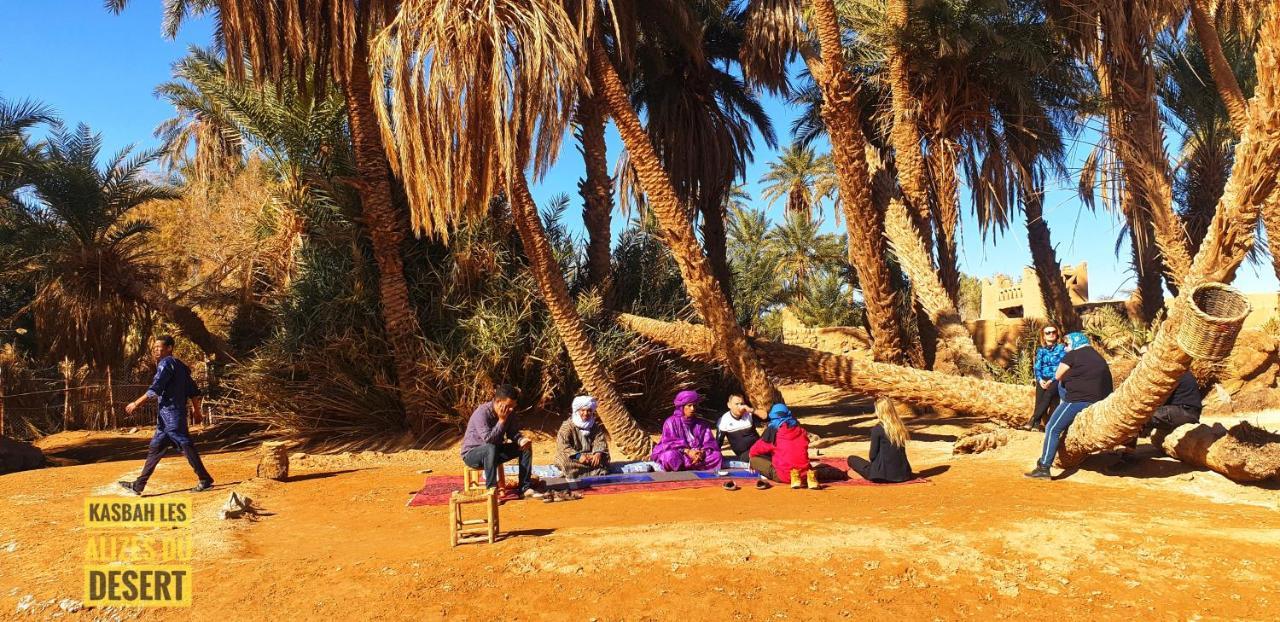 Kasbah Les Alizes Du Desert M'Hamid Exteriör bild