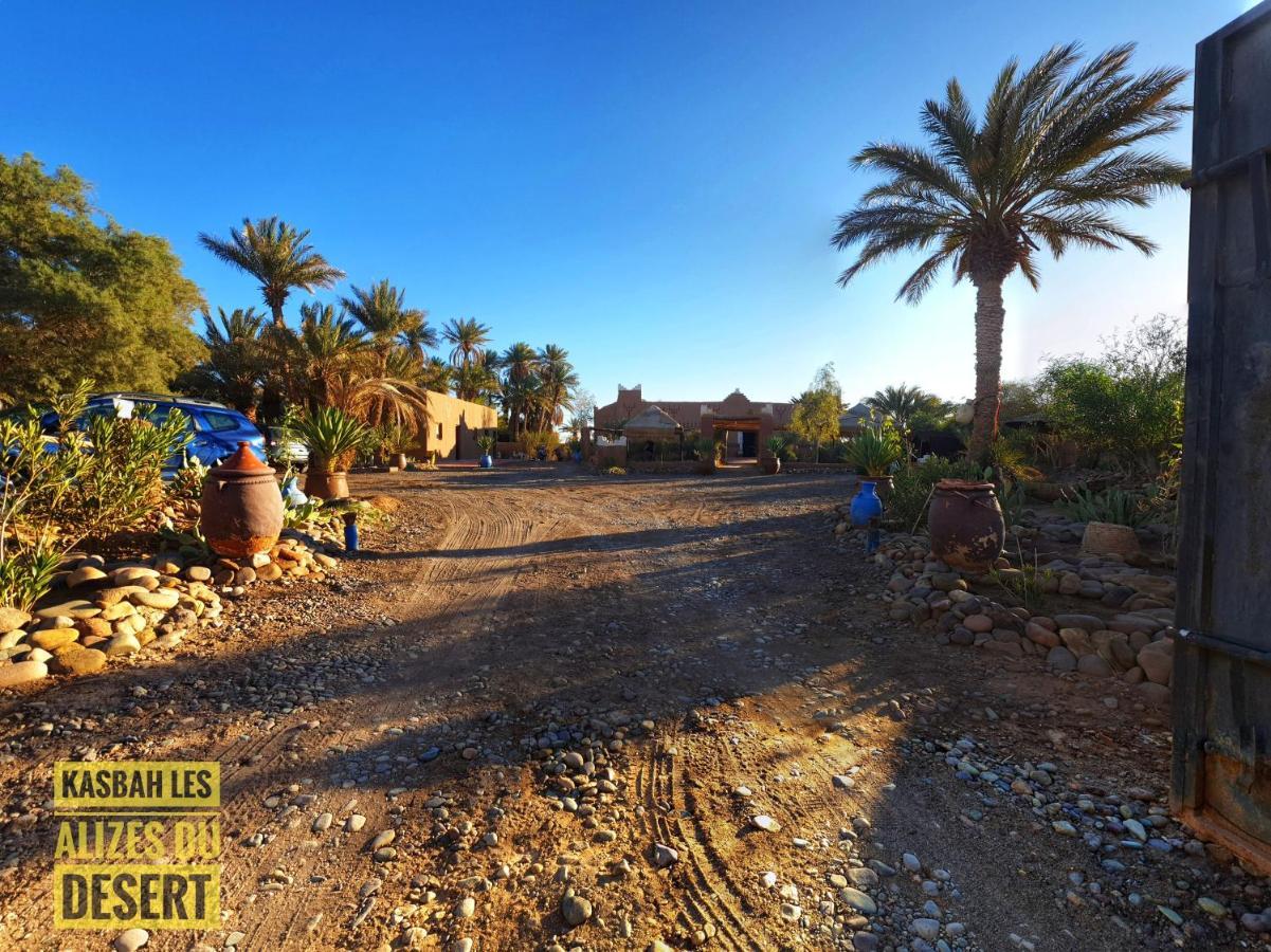 Kasbah Les Alizes Du Desert M'Hamid Exteriör bild