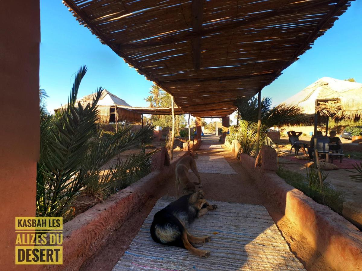 Kasbah Les Alizes Du Desert M'Hamid Exteriör bild