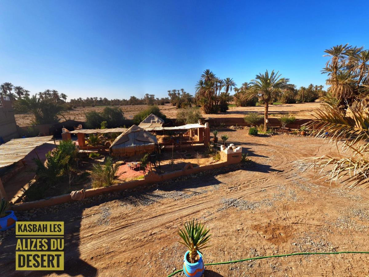 Kasbah Les Alizes Du Desert M'Hamid Exteriör bild