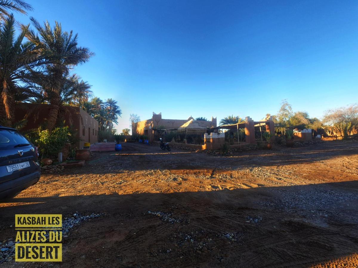 Kasbah Les Alizes Du Desert M'Hamid Exteriör bild