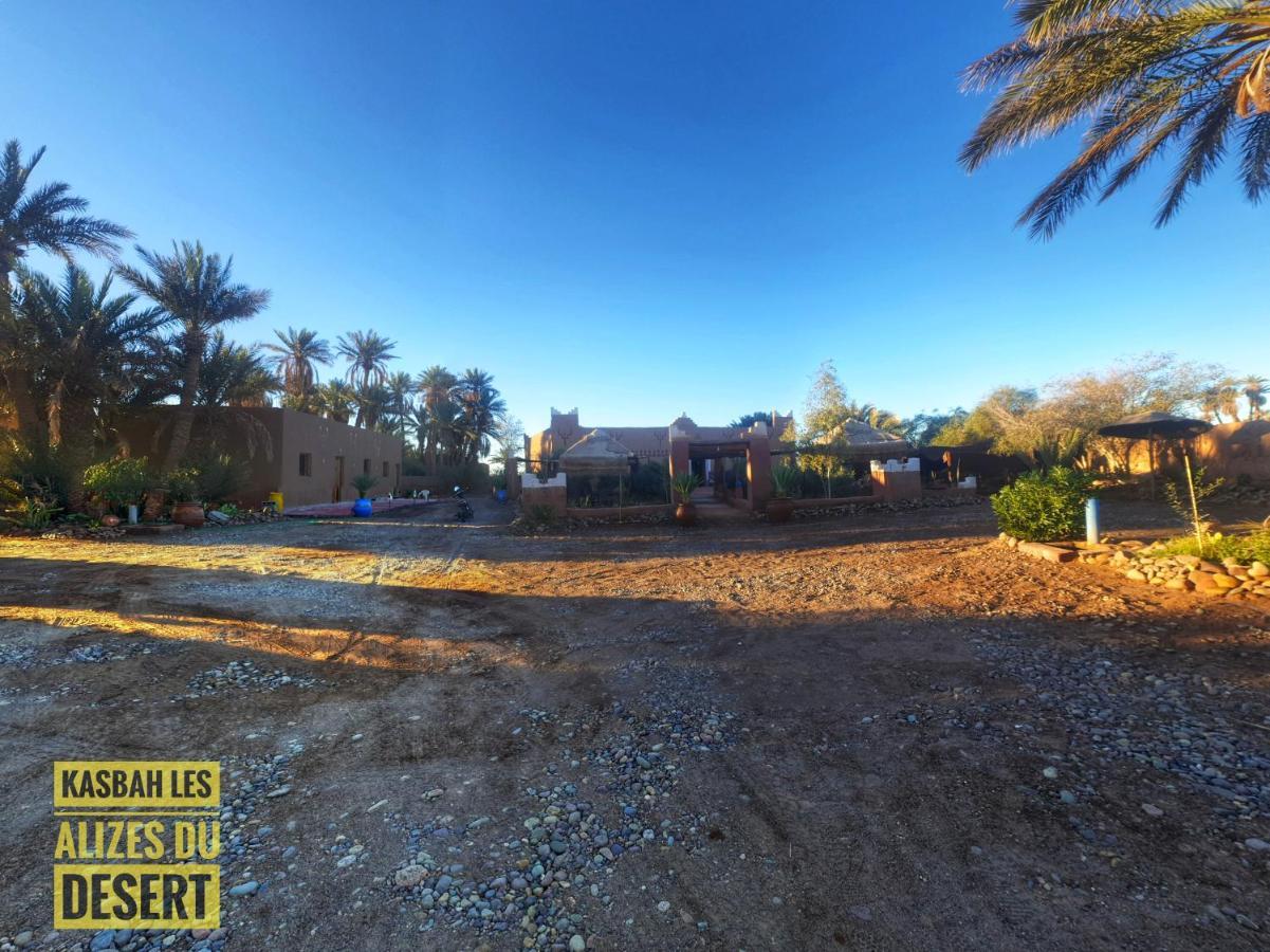 Kasbah Les Alizes Du Desert M'Hamid Exteriör bild