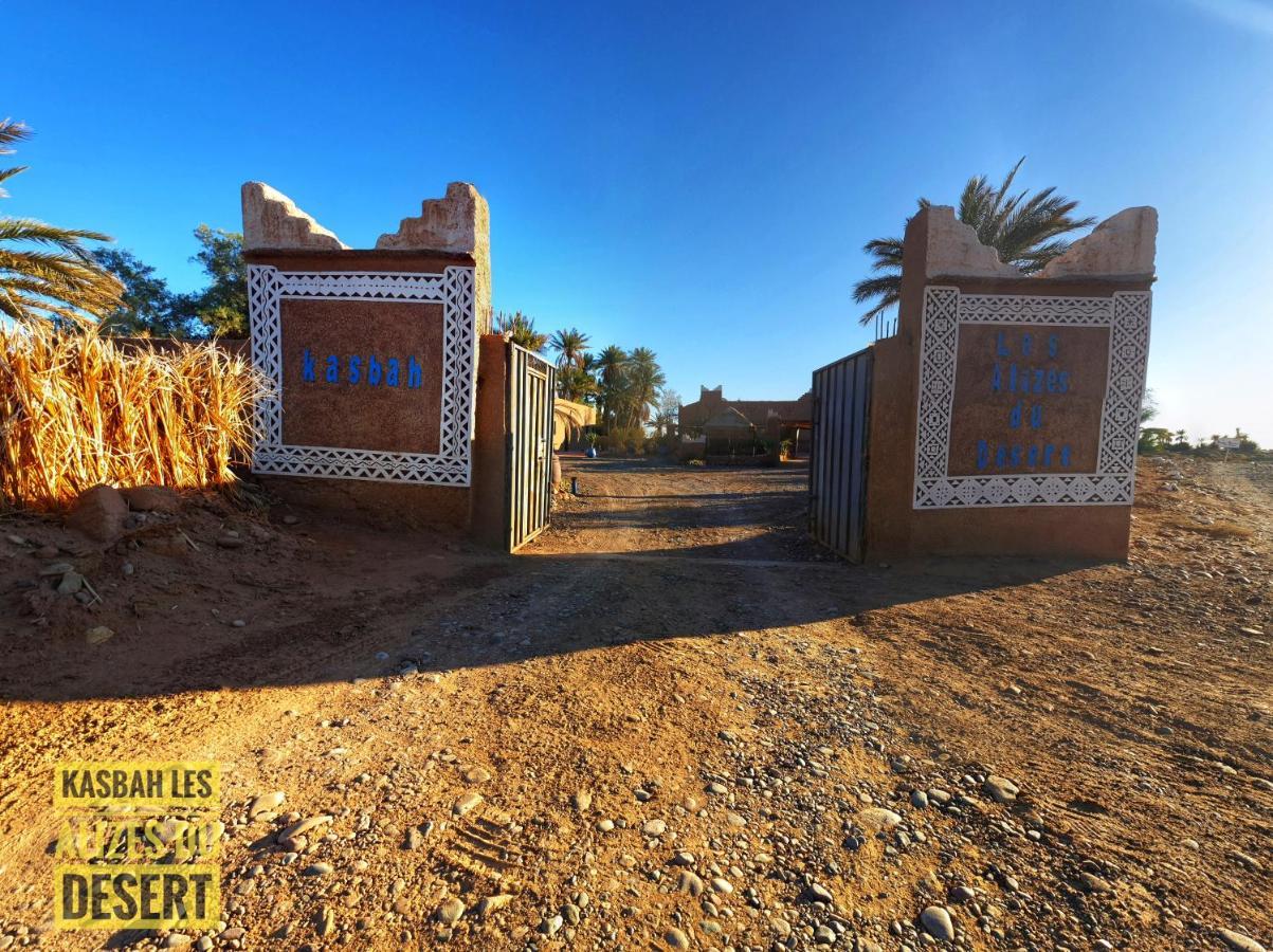 Kasbah Les Alizes Du Desert M'Hamid Exteriör bild