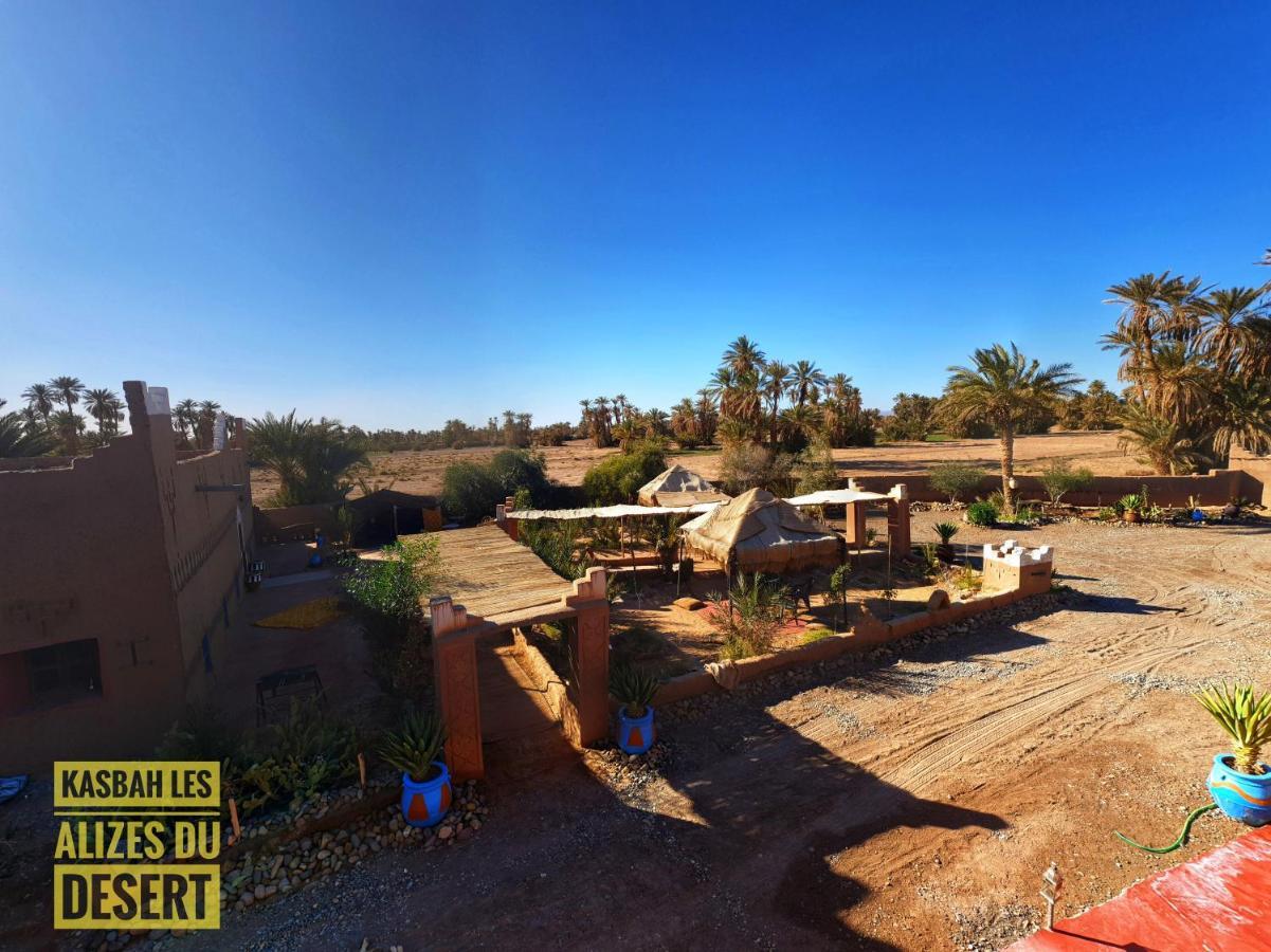 Kasbah Les Alizes Du Desert M'Hamid Exteriör bild