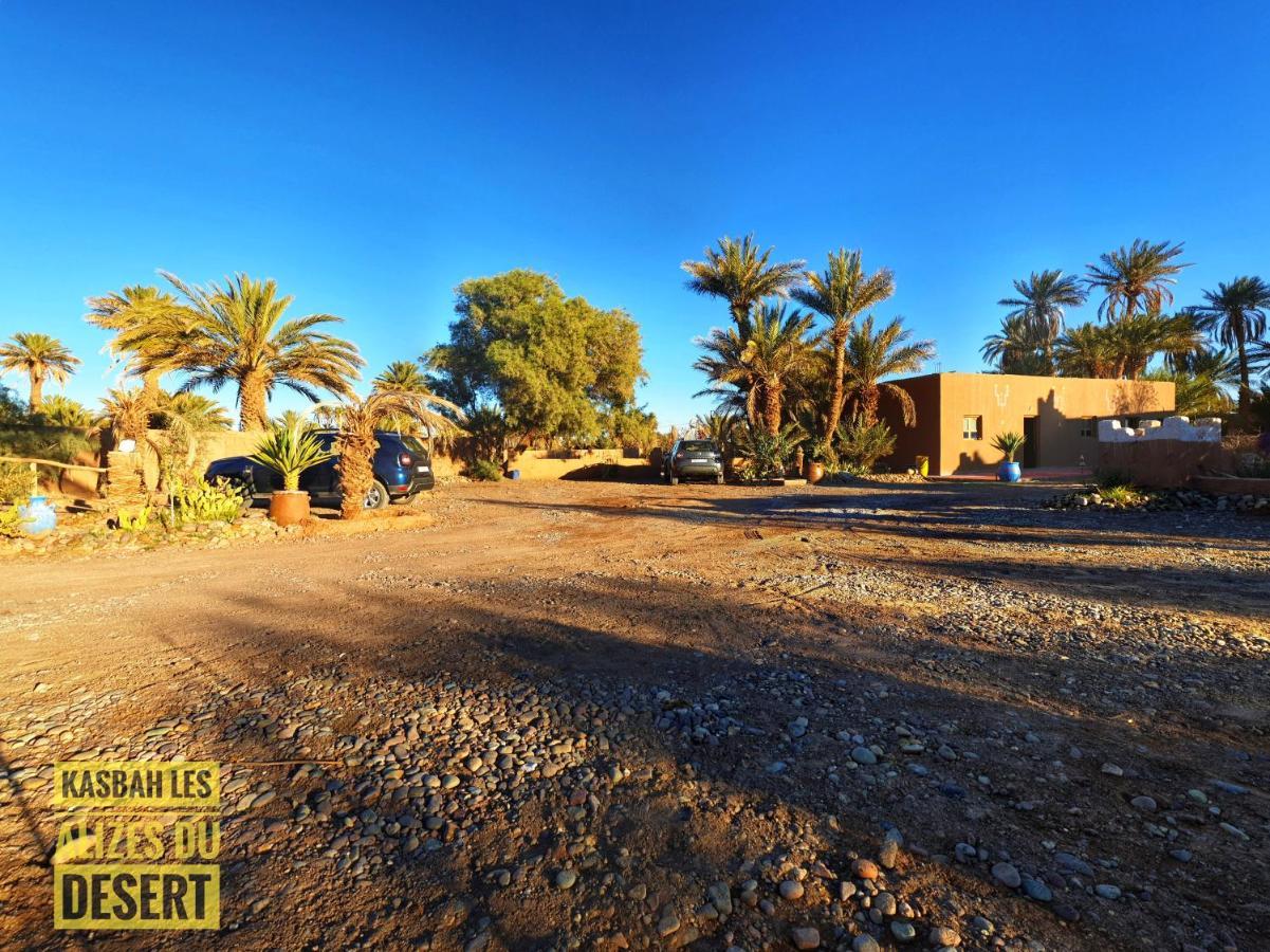 Kasbah Les Alizes Du Desert M'Hamid Exteriör bild
